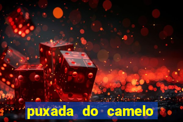 puxada do camelo no jogo do bicho